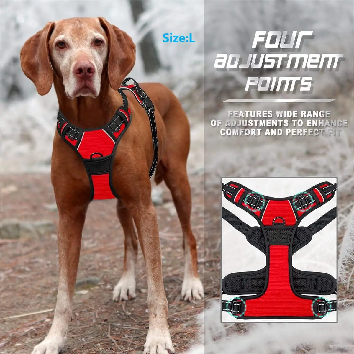 Harnais Anti-traction Ultra Confort — Pour chiens heureux et maîtres tranquilles