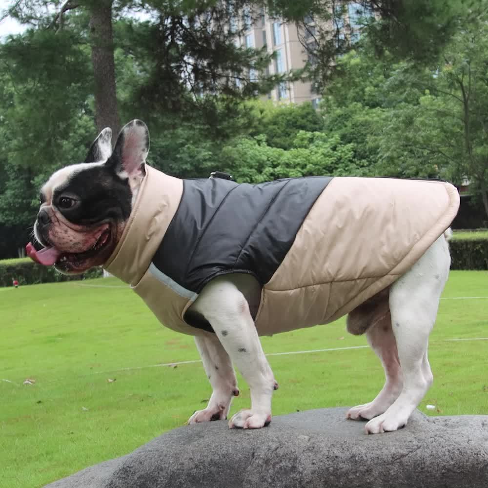 Veste imperméable ☔️réfléchissante pour chiens