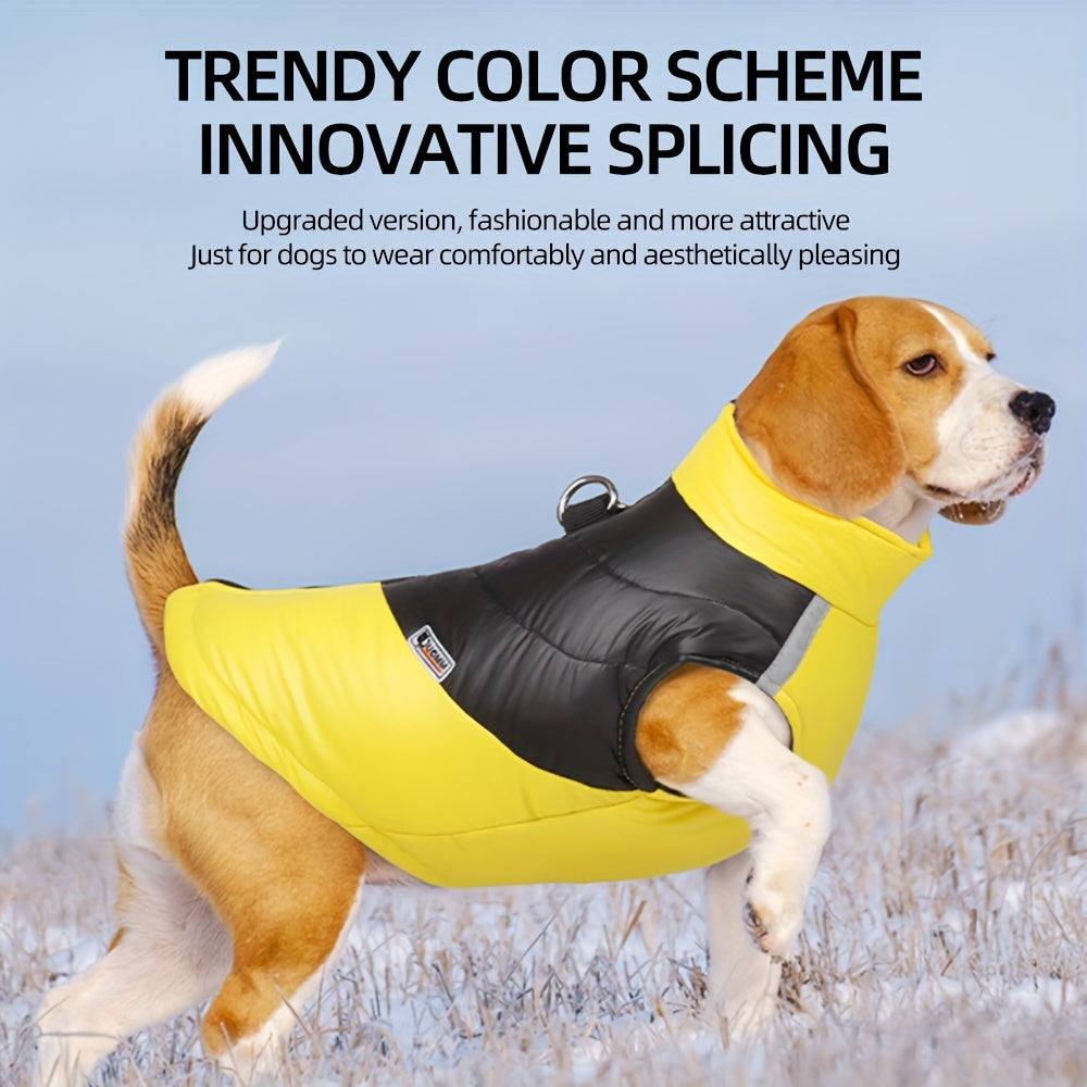 Veste imperméable ☔️réfléchissante pour chiens