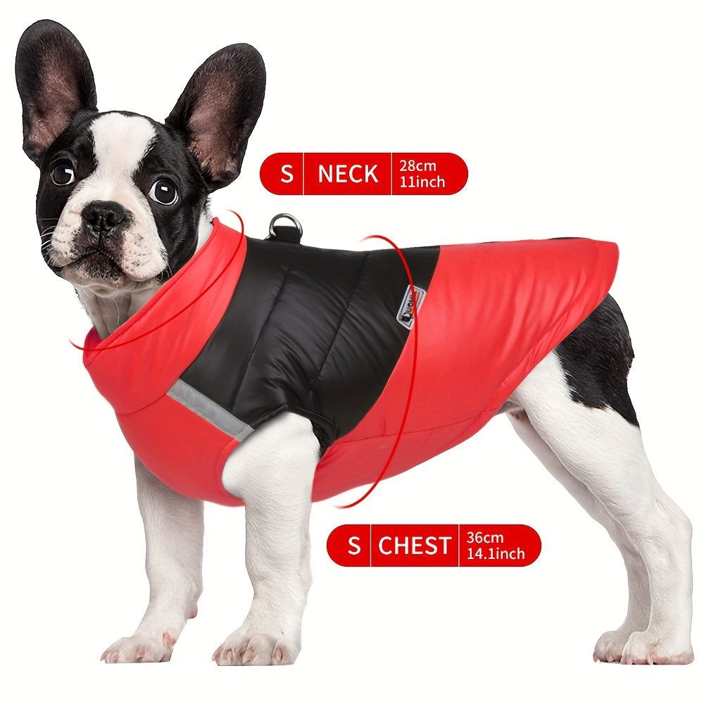 Veste imperméable ☔️réfléchissante pour chiens