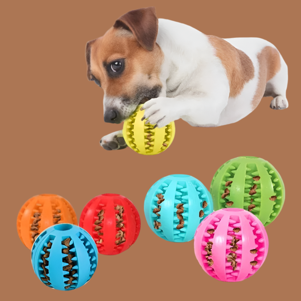Jouet pour chien avec emplacement pour croquette 🐶