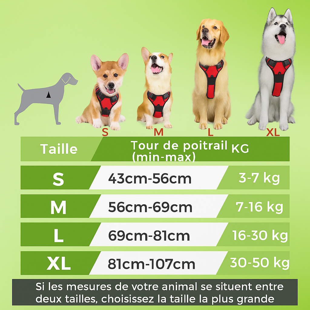 Harnais Anti-traction Ultra Confort — Pour chiens heureux et maîtres tranquilles