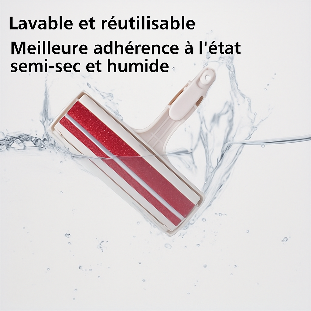 Brosse anti poils 🐈‍⬛🐕