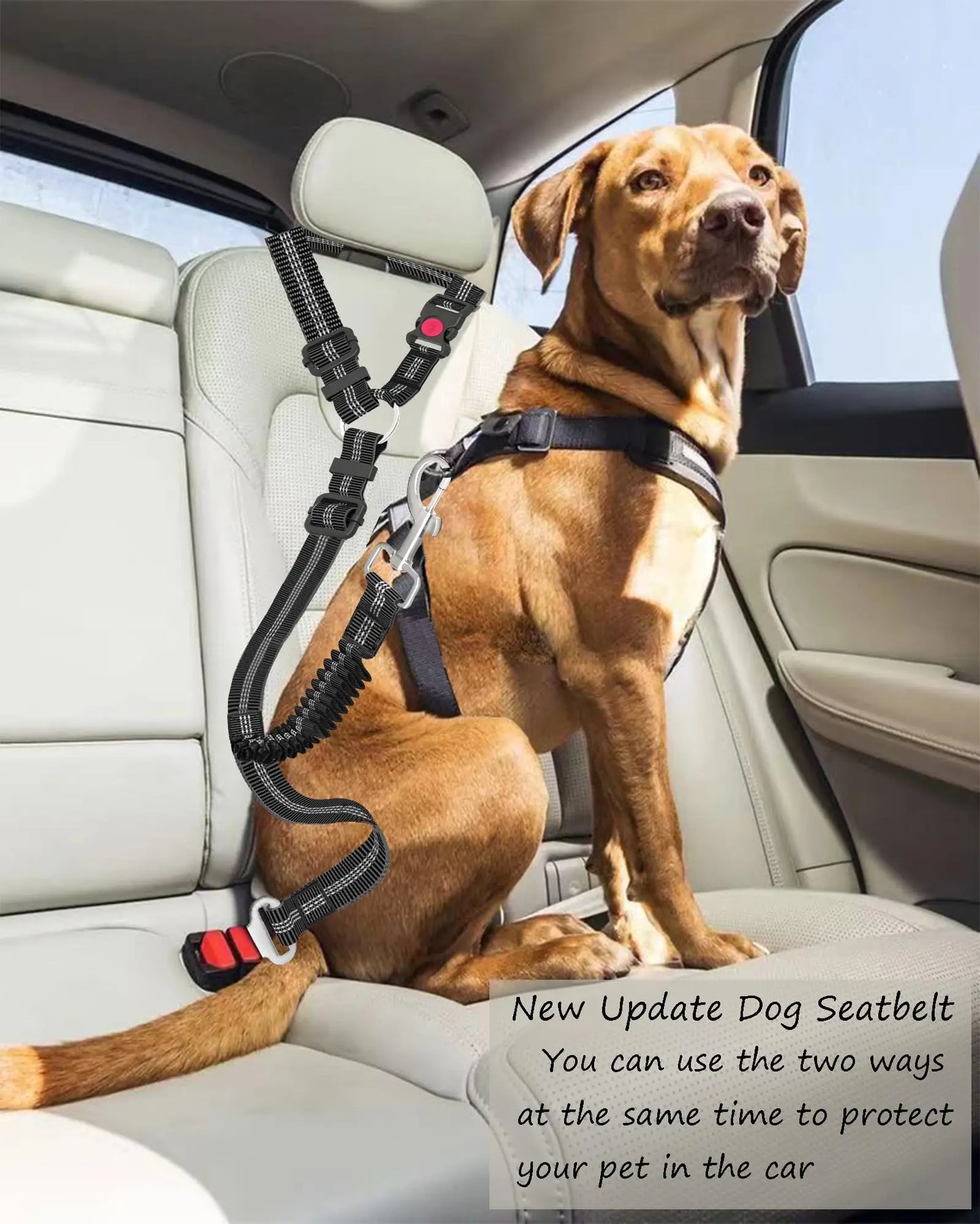 Ceinture de sécurité pour chien 🦮Parce que la sécurité en voiture c’est aussi pour eux 👍🏻 simplicité d’installation pour grands et petits chiens 🐾