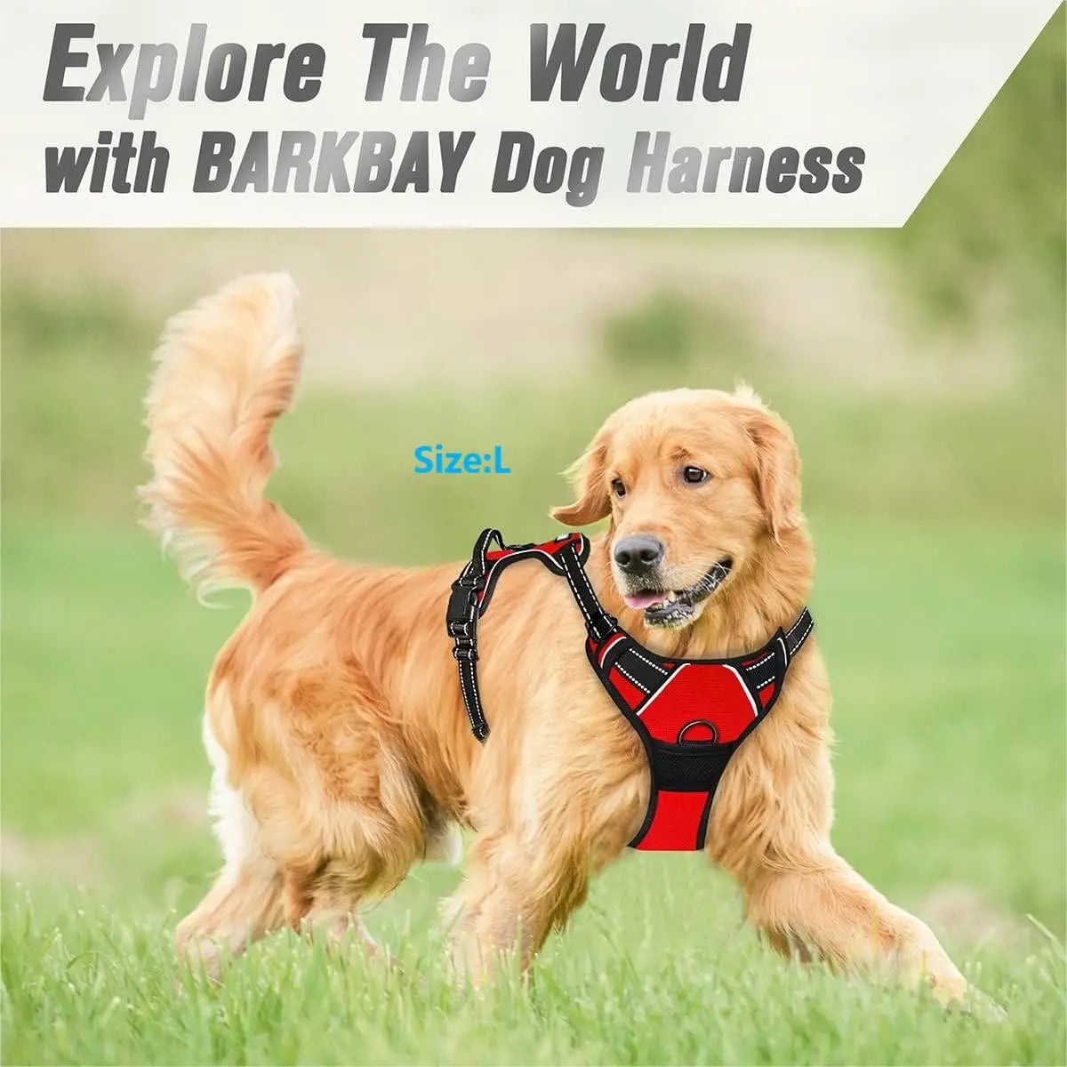 Harnais Anti-traction Ultra Confort — Pour chiens heureux et maîtres tranquilles