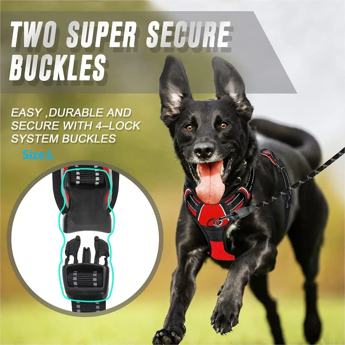 Harnais Anti-traction Ultra Confort — Pour chiens heureux et maîtres tranquilles