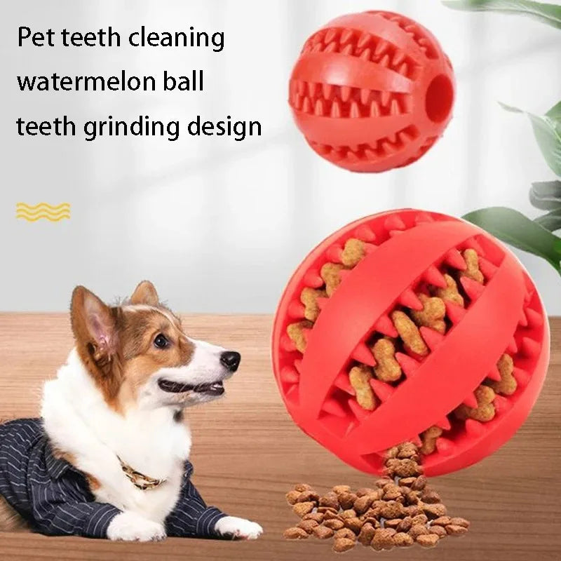 Jouet pour chien avec emplacement pour croquette 🐶