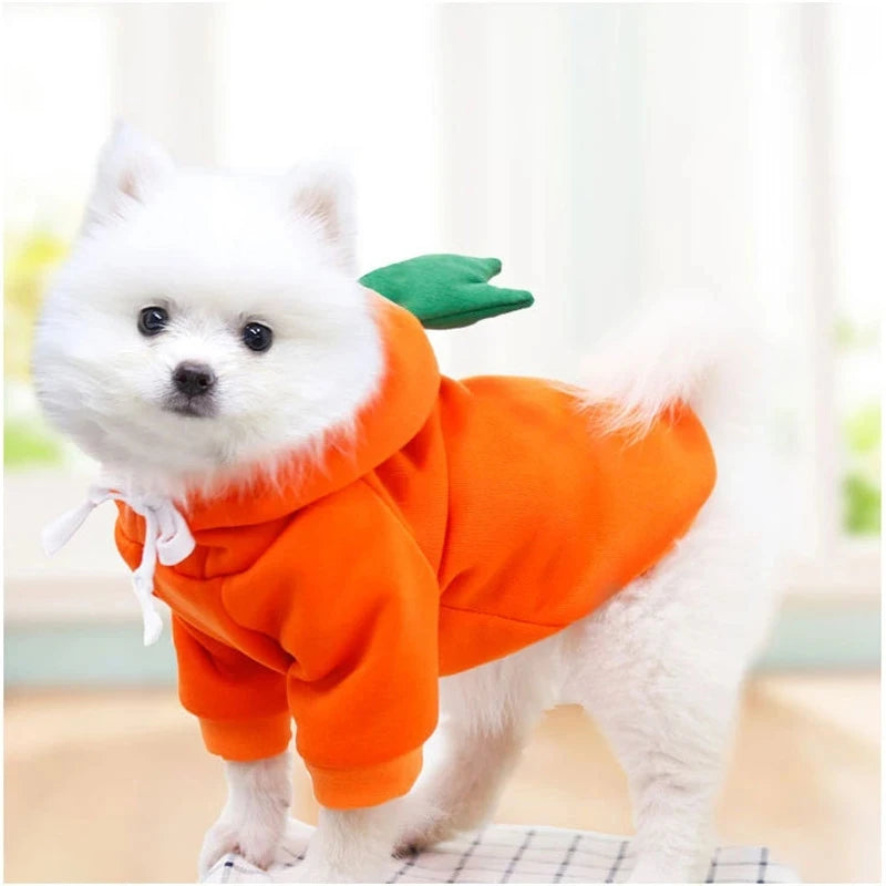Sweat à capuche fruité pour chien – Vêtement chaud en polaire, déguisement mignon pour petits chiens et chiots (Chihuahua, Bouledogue, etc.)