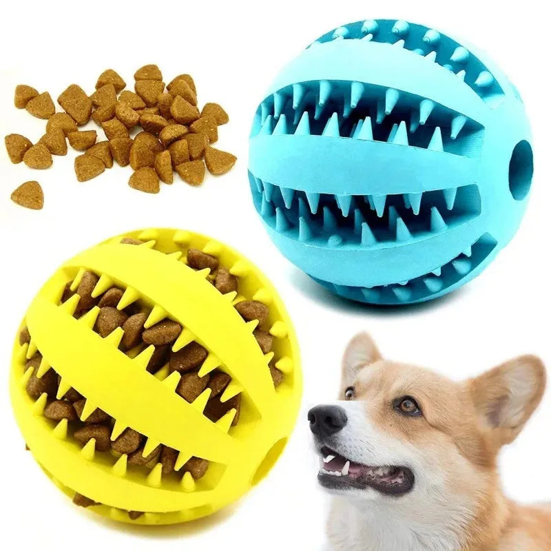 Jouet pour chien avec emplacement pour croquette 🐶