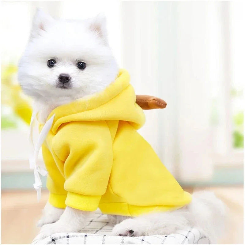 Sweat à capuche fruité pour chien – Vêtement chaud en polaire, déguisement mignon pour petits chiens et chiots (Chihuahua, Bouledogue, etc.)
