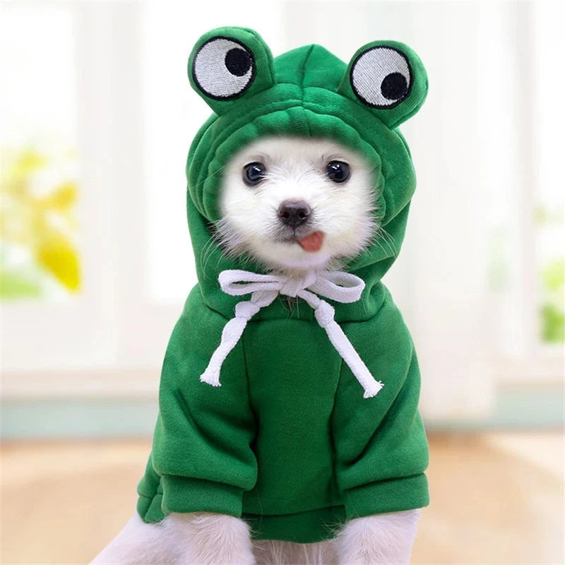 Sweat à capuche fruité pour chien – Vêtement chaud en polaire, déguisement mignon pour petits chiens et chiots (Chihuahua, Bouledogue, etc.)