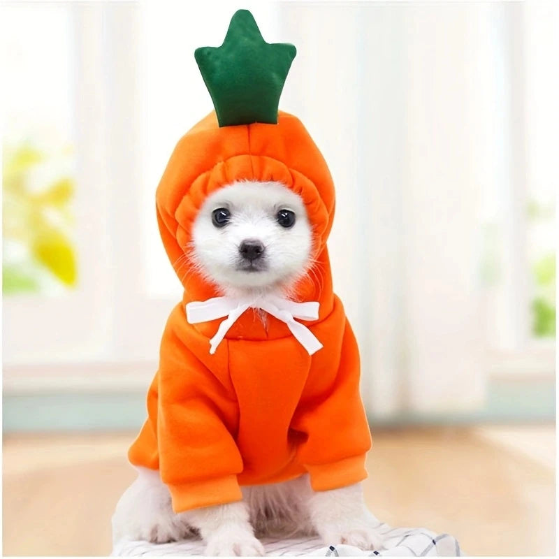Sweat à capuche fruité pour chien – Vêtement chaud en polaire, déguisement mignon pour petits chiens et chiots (Chihuahua, Bouledogue, etc.)