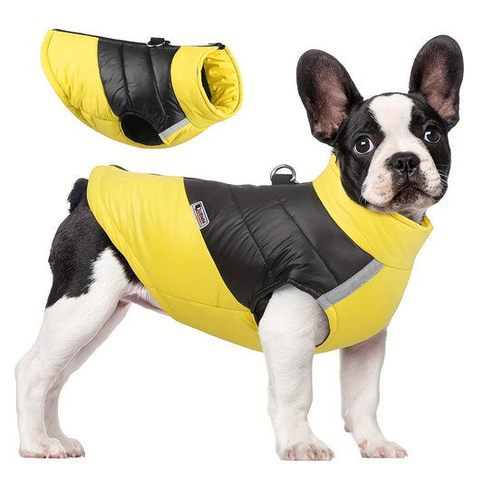 Veste imperméable ☔️réfléchissante pour chiens